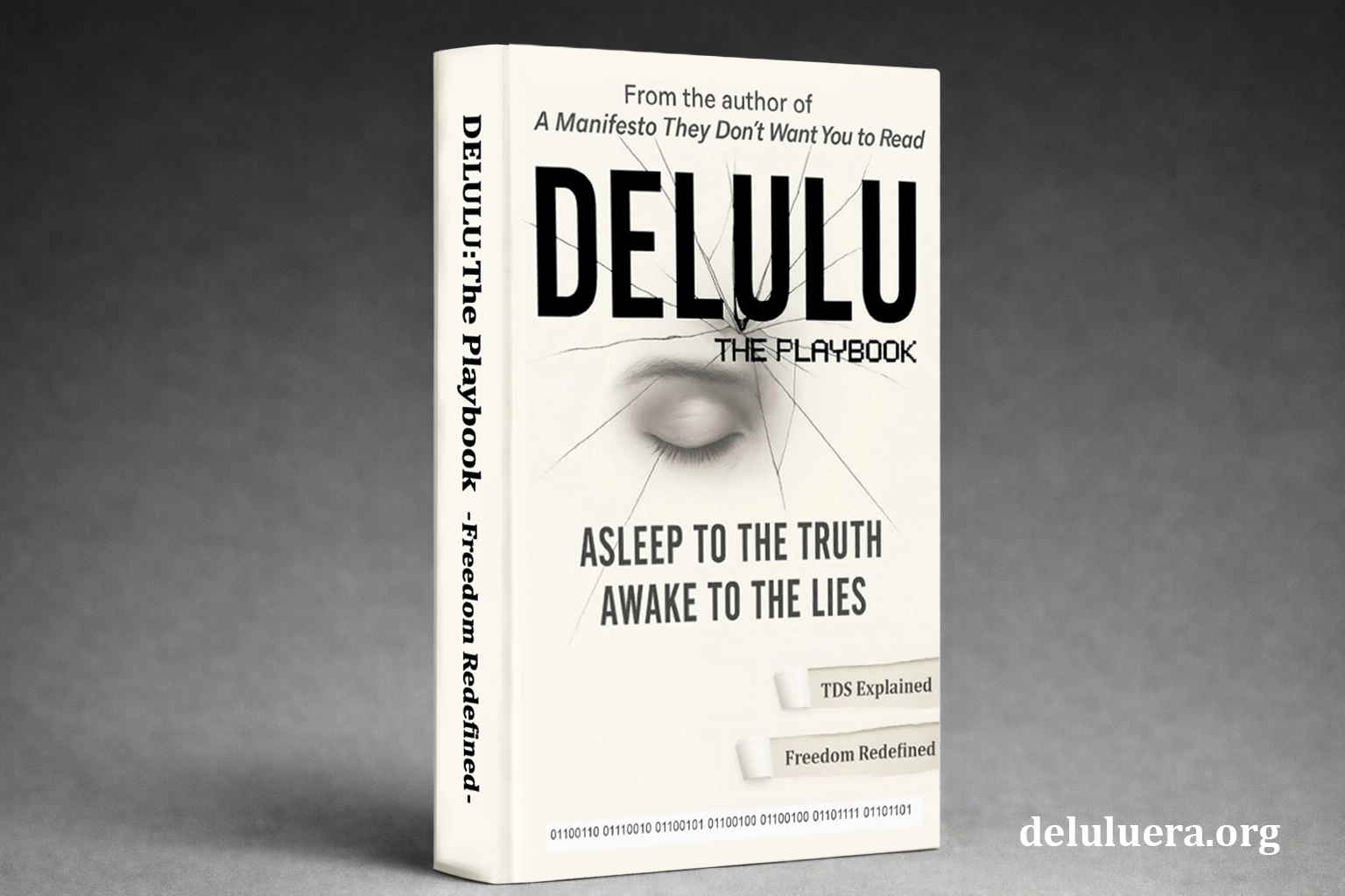 DELULU ERA official book cover